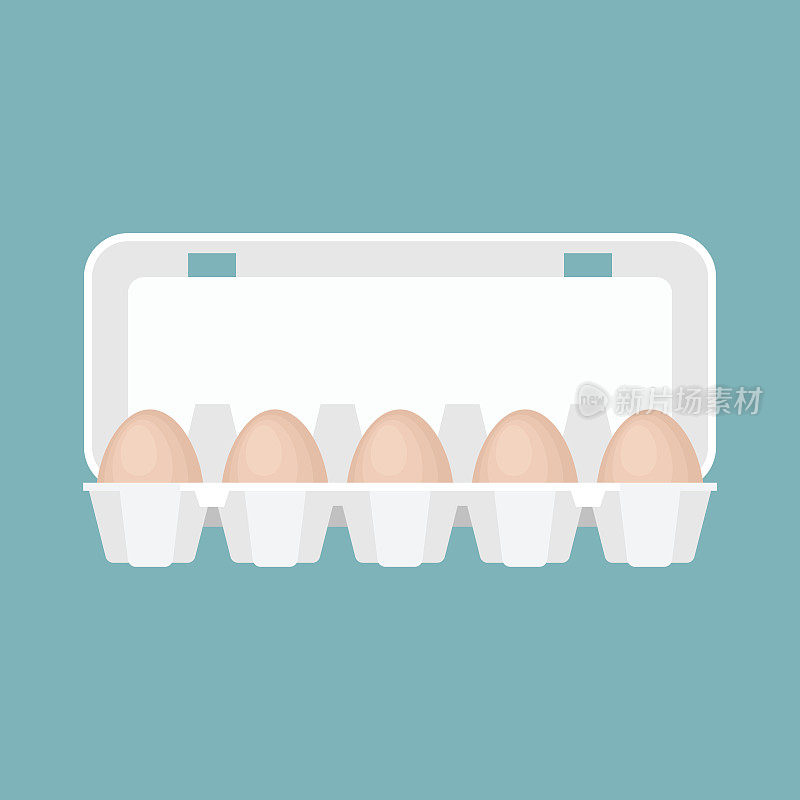 egg box in flat design vector